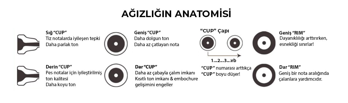 Ağızlık Seçimi ve Ağızlığın Anatomisi