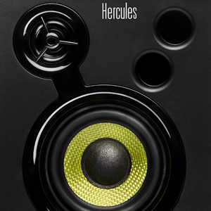 Net stereo ses