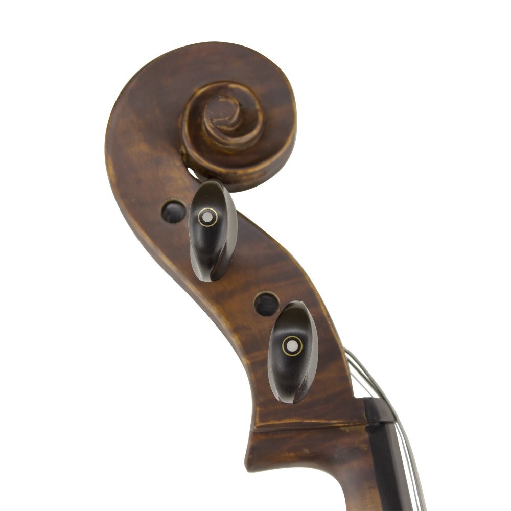 Carlovy CLA6-4/4 Çello 4/4