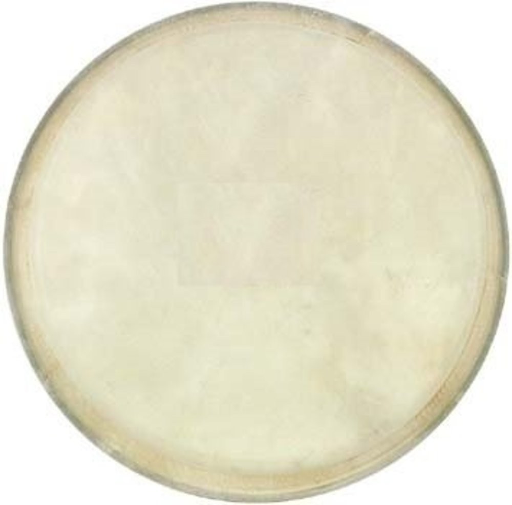 Cox Bongo Derisi (8") DER-B-8
