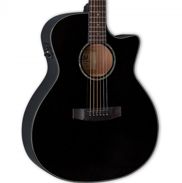 ESP LTD A-300E Siyah Elektro Akustik Gitar