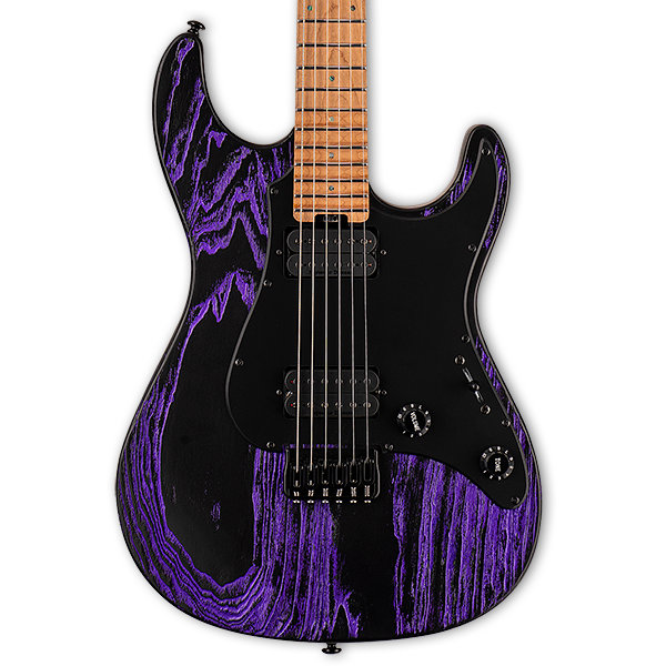 Esp ltd sn shop 1000 purple blast