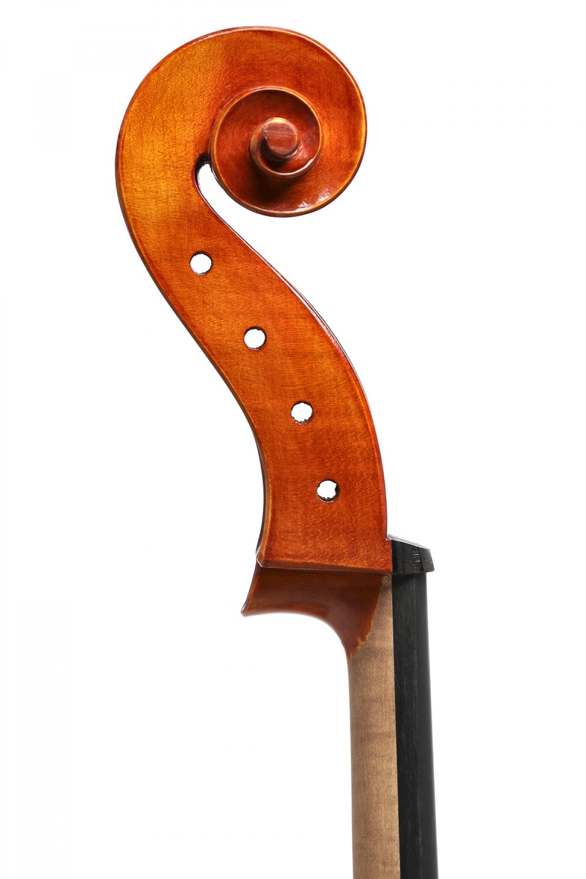 Gewa Maestro El Yapımı 4/4 Çello