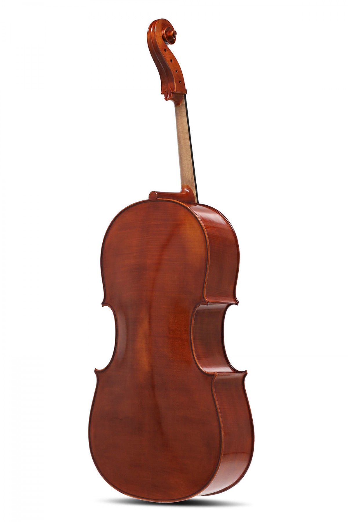 Gewa Maestro El Yapımı 4/4 Çello