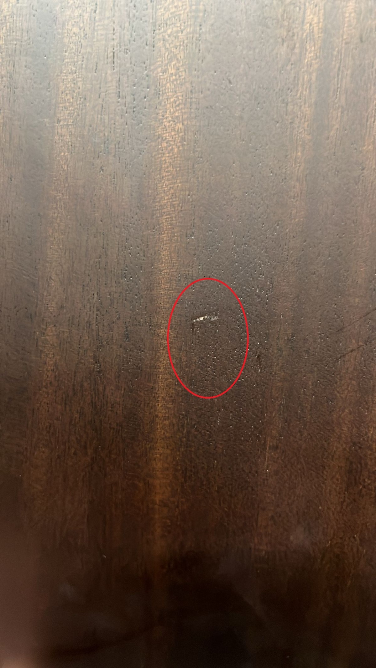 Outlet - Madison MAG-41M-TBK Akustik Gitar Outlet - Madison MAG-41M-TBK Akustik Gitar