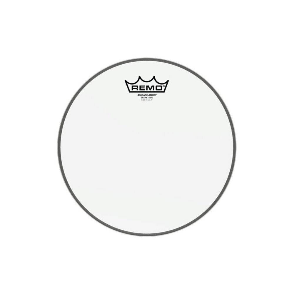 REMO AMBASSADOR HAZY 10 in Trampet Derisi