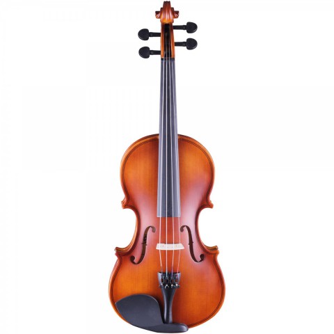 Rosa RV0116M 1/16 Mat Cila Keman Rosa RV0116M 1/16 Mat Cila Keman