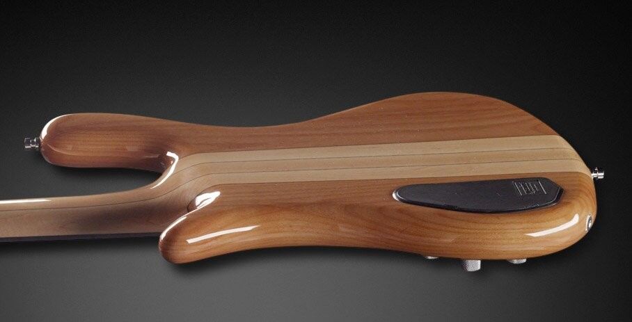 Warwick RockBass Streamer NT I Natural Transparent High Polish 5 Telli Fretless Bas Gitar