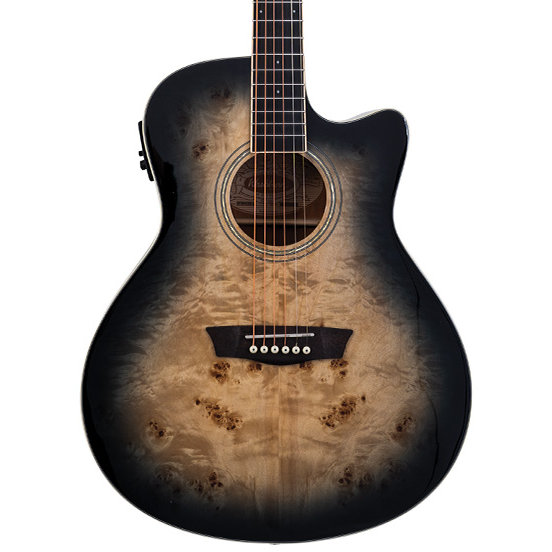washburn-deep-forest