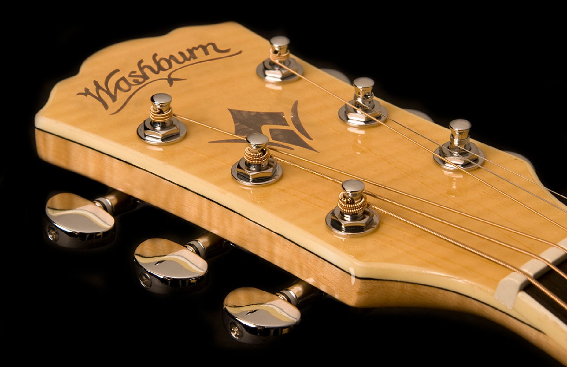 Washburn outlet ea20 black