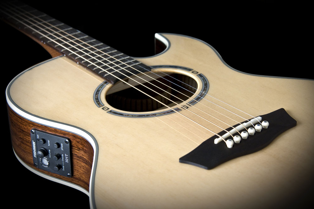 Washburn online semi acoustic