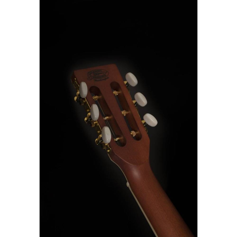 Washburn WP11SNS Harvest P11S Akustik Gitar