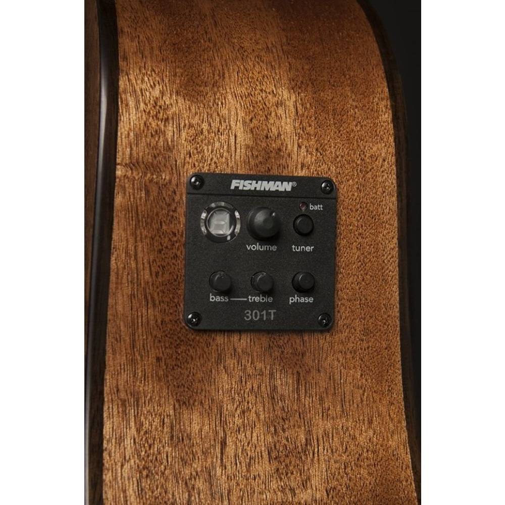 Washburn Woodline 10 Serisi WLD10SCE Elektro Akustik Gitar