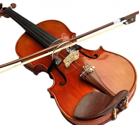 Carlovy VBSB Keman Yay Çekme Egzersiz Aparatı 1/4