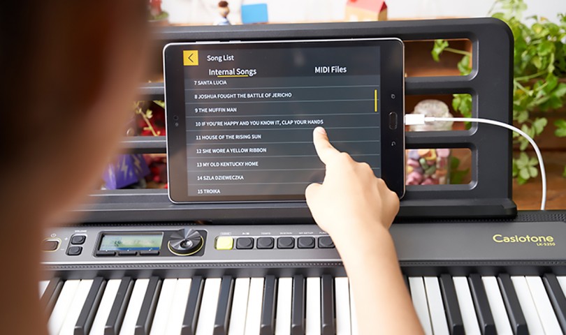 Casio LK-S250C2 Işıklı Tuş Hassasiyetli Org Casio LK-S250C2 Işıklı Tuş Hassasiyetli Org