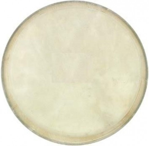 Cox Bongo Derisi (8") DER-B-8