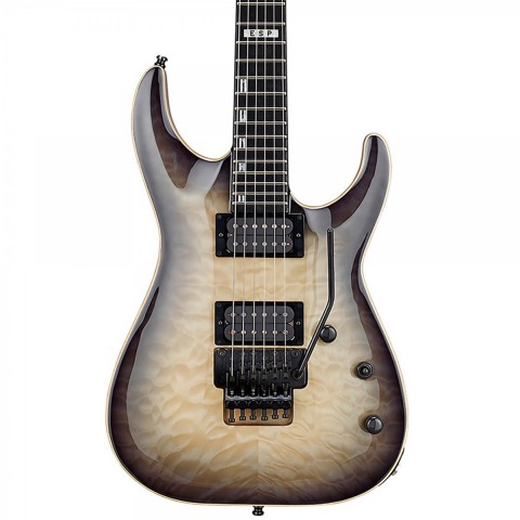 Esp floyd rose sale