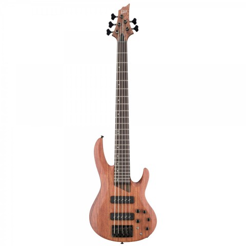 ESP LTD B-1005 SE 5 Telli Bas Gitar
