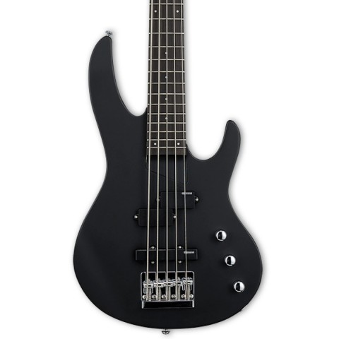 ESP LTD B-15 Kit Mat Siyah 5 Telli Bas Gitar