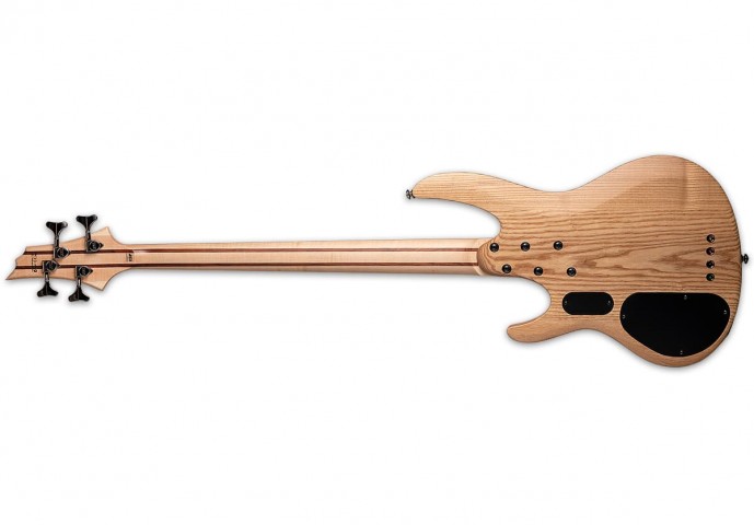 ESP LTD B-204SM Perdesiz 4 Telli Bas Gitar