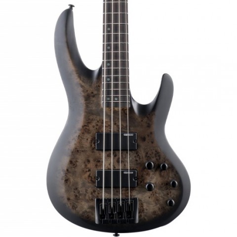 ESP LTD B-4 Ebony Burl Poplar Charcoal Burst Satin 4 Telli Bas Gitar