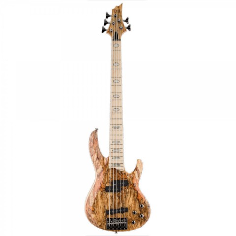 ESP LTD RB-1005SM Natural Bas Gitar