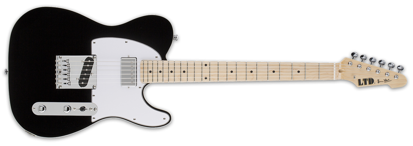 ESP LTD Ron Wood Signature Elektro Gitar