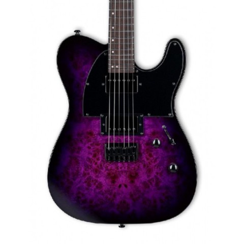 ESP LTD TE-200DX Purple Burst Elektro Gitar