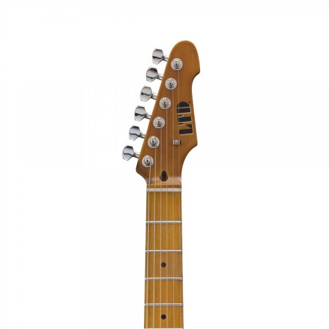 ESP LTD TE-254 D3TB Elektro Gitar