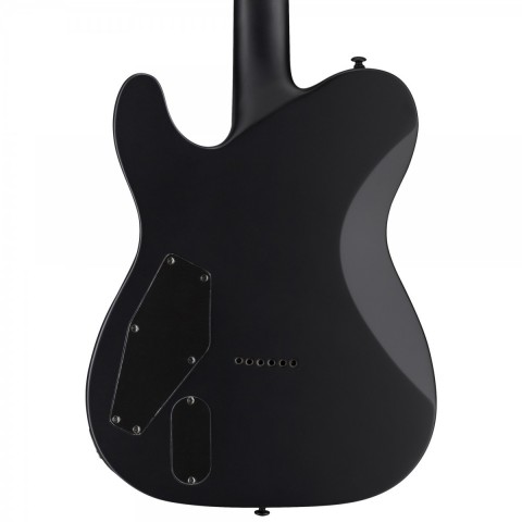 ESP LTD TE-401 Mat Siyah Elektro Gitar