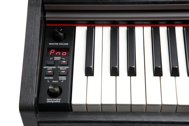 Kurzweil M90-SR Gülağacı Dijital Piyano Kurzweil M90-SR Gülağacı Dijital Piyano