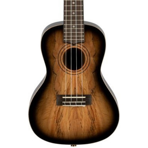 Laniikai Limited Edition SMBB-CX Spalted Maple Concert Ukulele