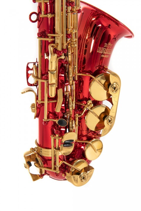 Roy Benson AS-202R Alto Saksafon