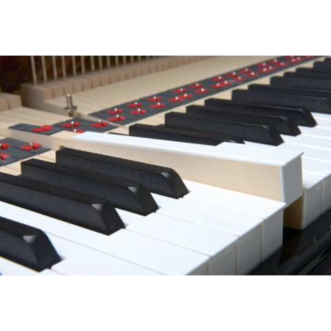 Schumann GP-152 Kuyruklu Akustik Piyano