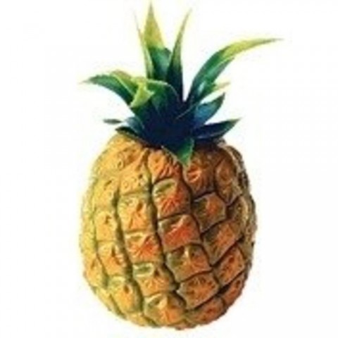 Tycoon TFPI Ananas Plastik Shaker (Tekli)