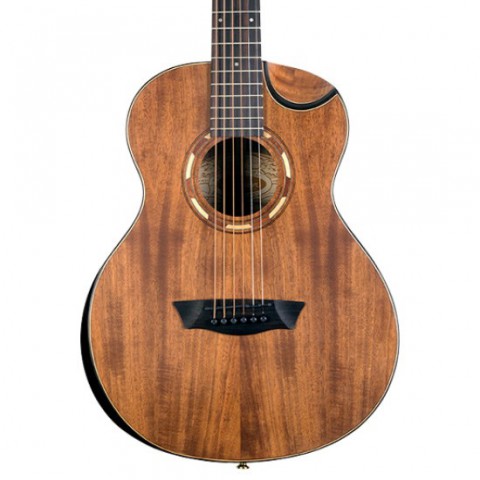 Washburn store p55 koa