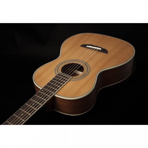 Washburn WP11SNS Harvest P11S Akustik Gitar