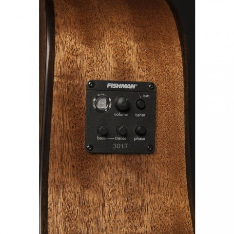 Washburn Woodline 10 Serisi WLD10SCE Elektro Akustik Gitar