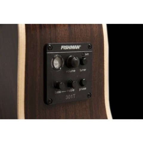 Washburn Woodline 20 Serisi WLD20SCE Elektro Akustik Gitar